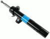 SACHS 313 254 Shock Absorber